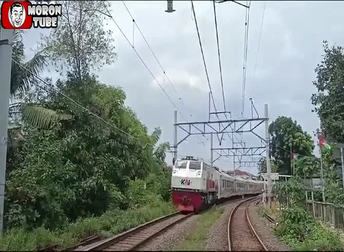 Video :It might be quite risky to be a rail fan (Warning - startling)